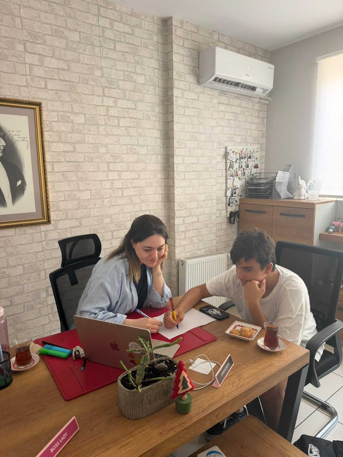 Özel ders ve mentorluk çalışması